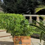 Cómo prevenir las plagas en tu jardín de forma efectiva