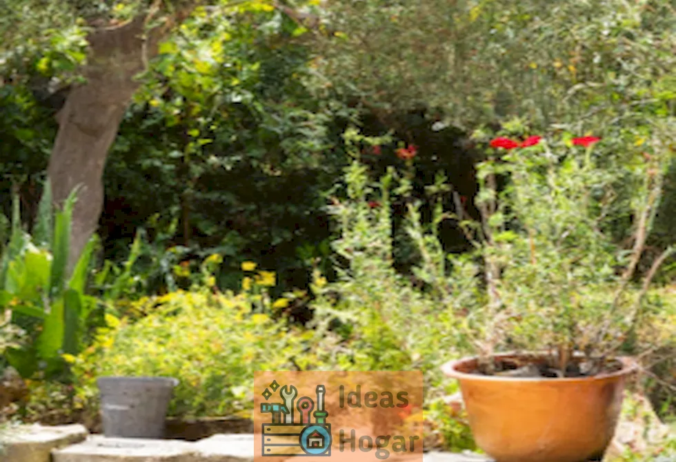 Imagen de un jardín cuidado y sin plagas, mostrando plantas saludables y flores vibrantes.