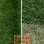 Turf vs. Césped Artificial: diferencias y similitudes