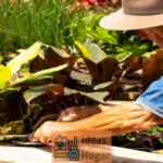 Cómo contratar un paisajista profesional para tu jardín