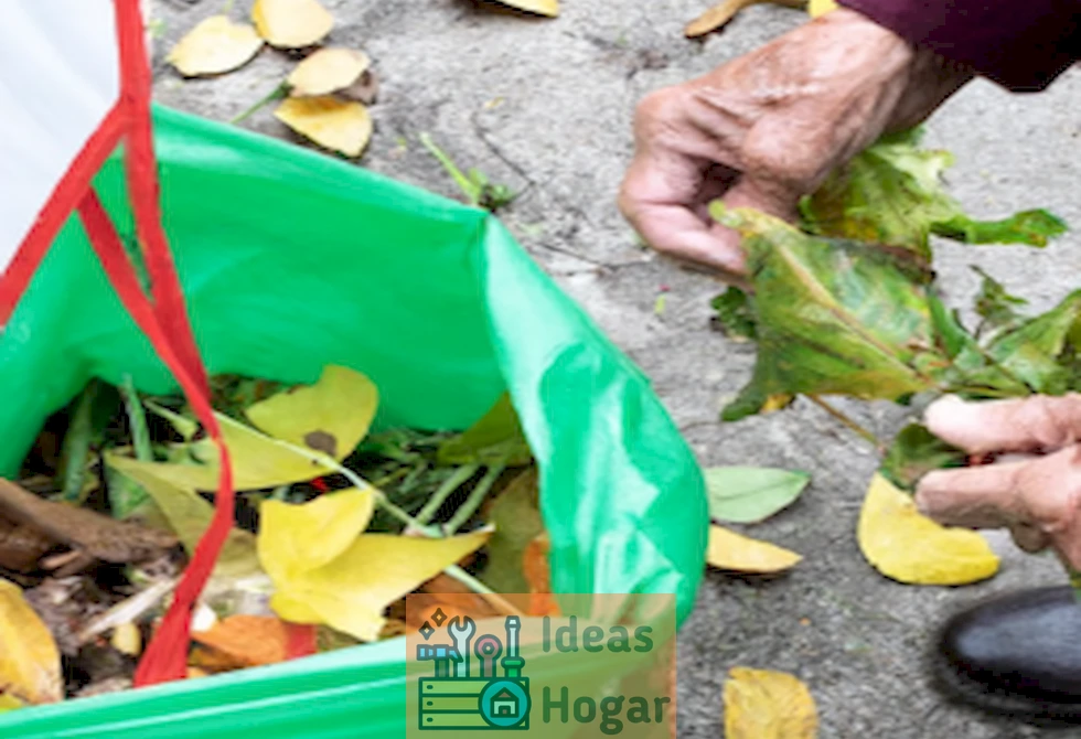 Imagen ilustrativa de alguien recogiendo hojas y colocándolas en una bolsa de jardín.