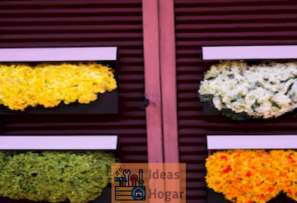 Imagen de cajas de ventana decoradas con flores de otoño en tonos cálidos y vibrantes