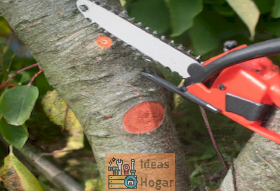 Conoce las herramientas ideales para la poda y tala de árboles en tu jardín.