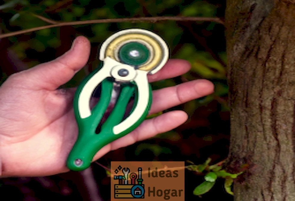 'Conoce las herramientas más eficaces para podar árboles y mantener tu jardín en óptimas condiciones'.