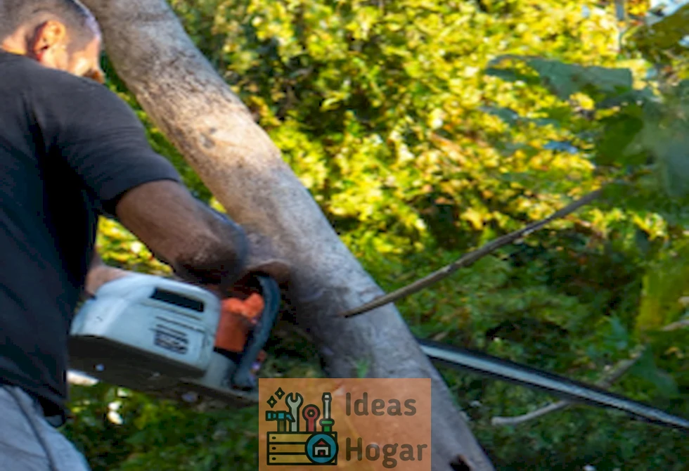 Imagen de un hombre utilizando una motosierra para cortar un árbol en un bosque.