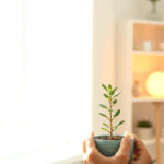 Tranquilidad doméstica y cuidado consciente predominan