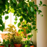 Maximiza el almacenamiento vertical en la cocina