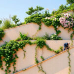 Un jardín vertical sereno y armonioso