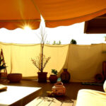 Armonía serena y cuidada en la luz