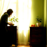 Paz y belleza natural en un hogar