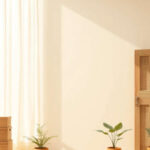 Paz y sencillez natural en armonía