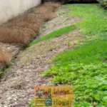 Cómo prevenir inundaciones en tu jardín de forma efectiva
