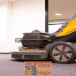 Qué esperar del proceso profesional de limpieza de alfombras