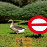 Cómo puedo mantener a las ocas alejadas del jardín