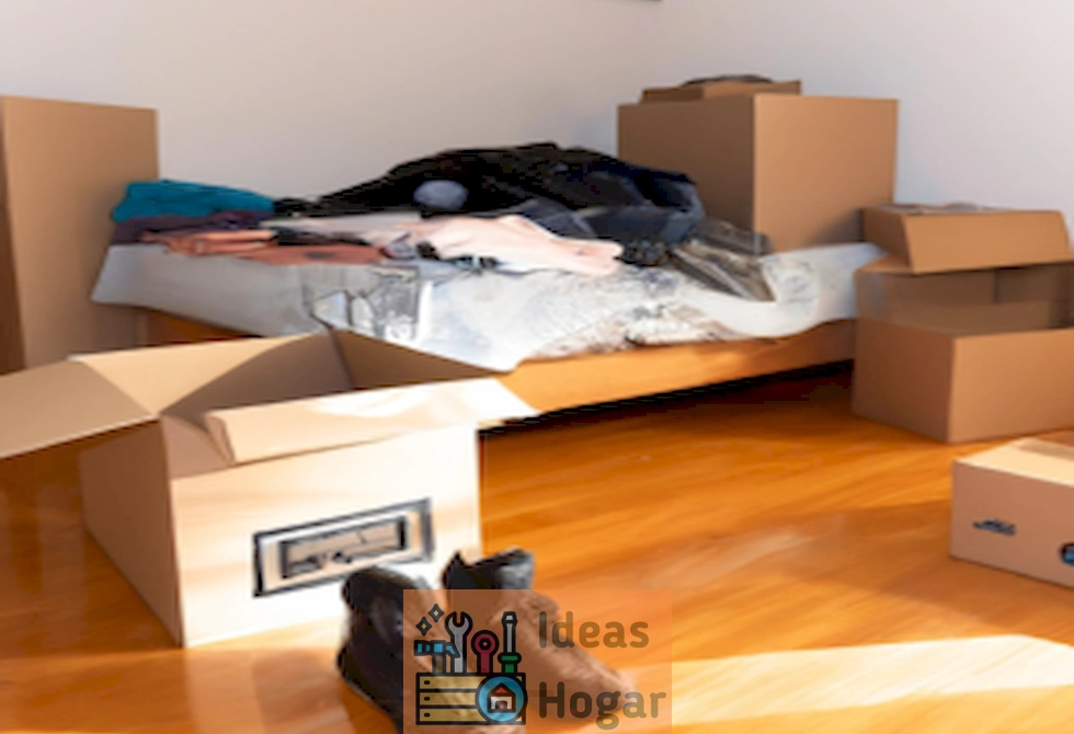 Imagen ilustrativa de una mudanza en un apartamento de una habitación en el año 2024.