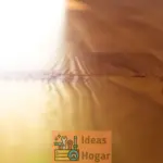Cuál es la mejor forma de pintar un suelo de madera