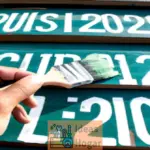 Cuál será el costo medio de pintar un deck en el año 2024