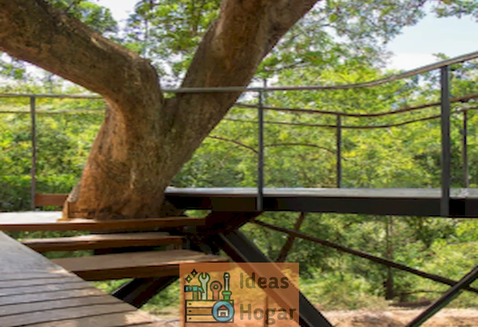 Imagen de un deck elevado rodeando un árbol en plena naturaleza, mostrando su construcción paso a paso.