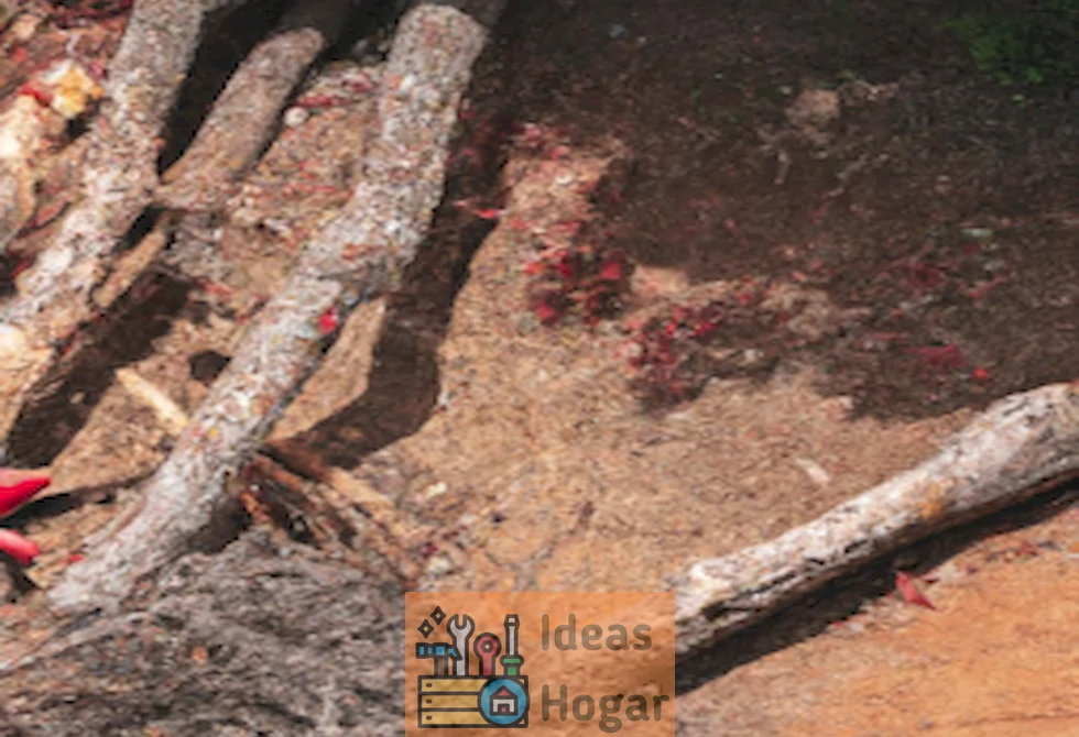 Poda de árbol: ¿Puedo cortar las ramas que invaden mi terreno?