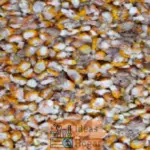 Costo de instalar techo de bocel sobre textura de palomitas de maíz en 2024