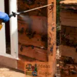 Cómo tratar termitas de la madera seca eficazmente